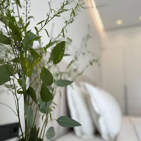 Апартаменты V9 Vanagupes Apartamentai Паланга