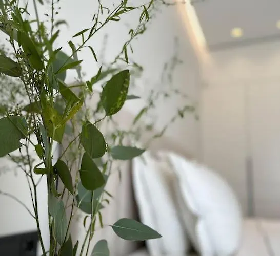 דירה V9 Vanagupes Apartamentai פלאנגה